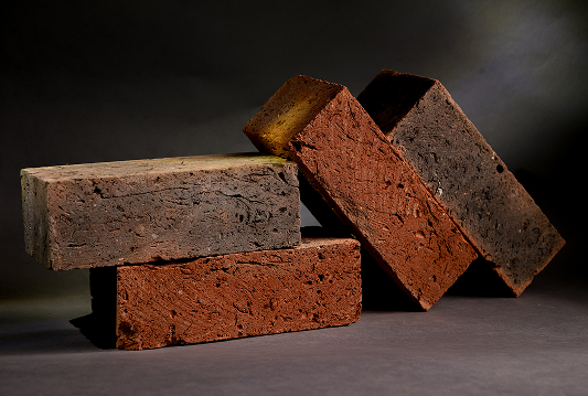 Expose Brick